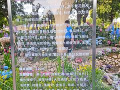 -上海滨江森林公园