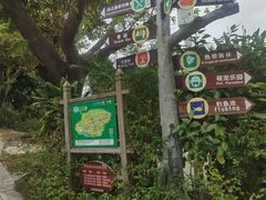 -青青世界