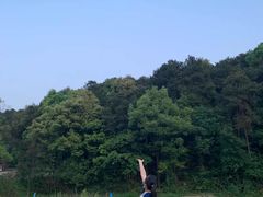 -铁山坪森林公园