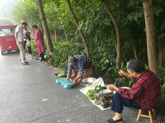 -桤木河湿地公园