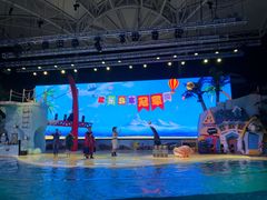 -三亚海昌梦幻海洋不夜城