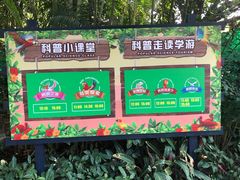 -广州长隆飞鸟乐园