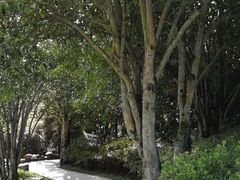 -井冈山风景名胜区