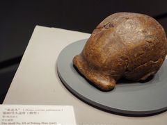 -北京周口店北京人遗址博物馆