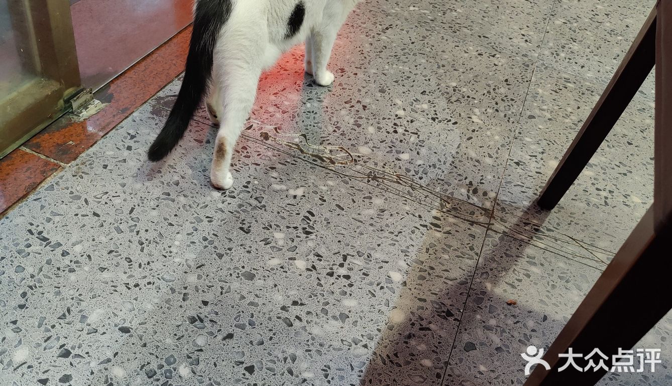 探店记：烤肉店必点