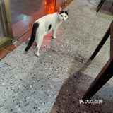 探店记：烤肉店必点