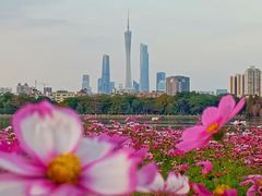 -海珠湖公园