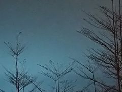 -玫瑰海岸假日酒店