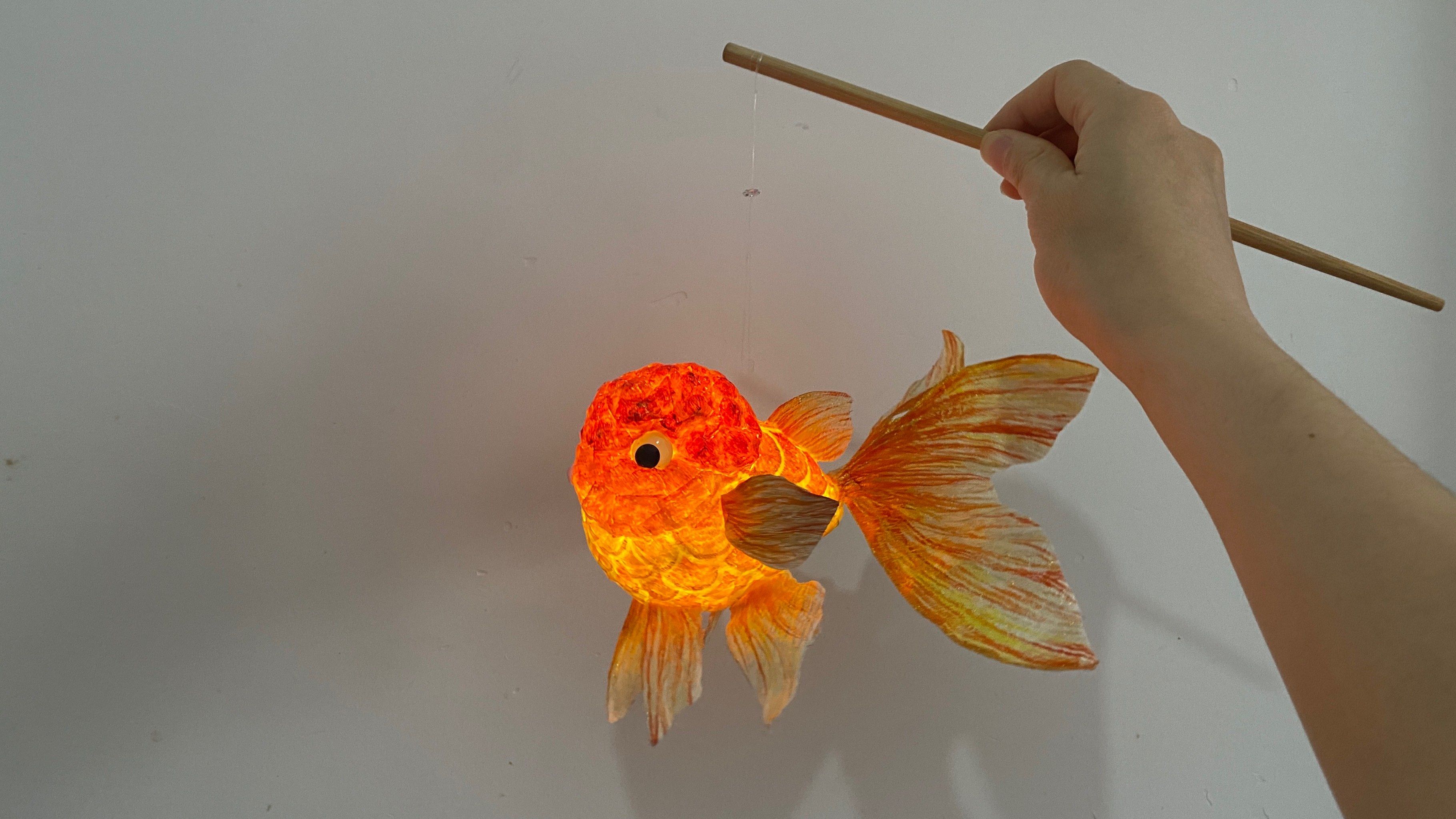 连年有余的金鱼灯