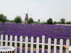 -渔岛海洋度假区