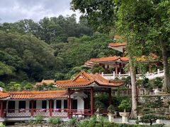 -深圳仙湖植物园