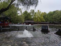 -百脉泉景区