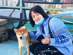 -喜柴咖啡·柴犬狗咖
