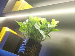 -梵猫·新养生(加州广场店)