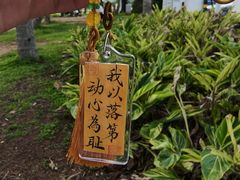 -西秀海滩公园