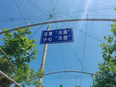-西霞口神雕山野生动物世界