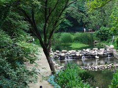 -白水寺森林公园
