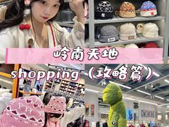 -岭南站NOVA