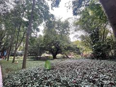 -晓港公园