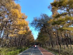 -长春市南湖公园