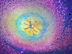 -海合安天津极地海洋公园