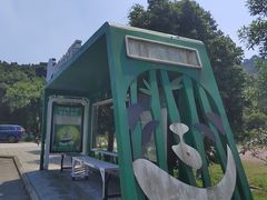 -都江堰中华大熊猫苑