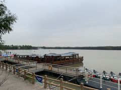 -上海海湾国家森林公园