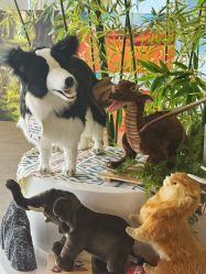 -IMON·HANSA潮玩玩偶毛绒玩具(通州万象汇店)