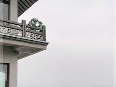 -湖畔居茶楼(湖滨店)