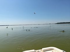 -包头南海湿地景区