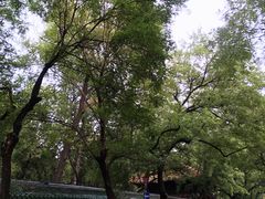 -北京国子监胡同