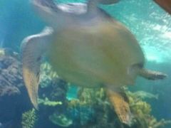 -运城海洋馆