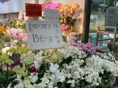 -东风国际花卉市场