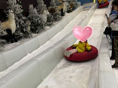 -世界之窗阿尔卑斯冰雪世界