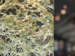 -广东中医药博物馆
