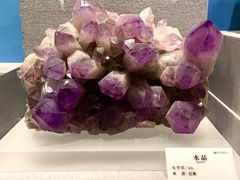 -贵州省地质博物馆
