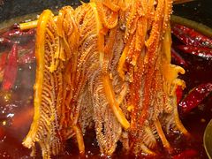 -蜀大侠火锅(总府路店)