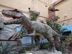 -国家自然博物馆