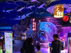 -烟台海昌鲸鲨海洋公园