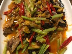 -伊兰麒兰馨园·川菜·清真馆(339电视塔店)