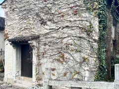 -绍兴大禹开元观堂-若耶厅