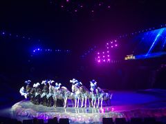 -珠海横琴长隆《卡卡虎奇遇记》