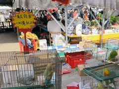 -中环花鸟鱼虫市场