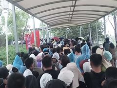 -白洋淀景区