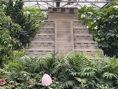 -南宫五洲植物乐园