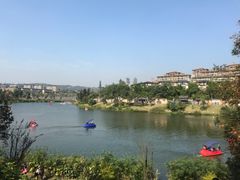 -枫香湖儿童公园