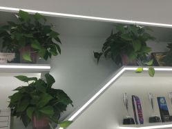 -蕾特恩专业祛痘·皮肤管理