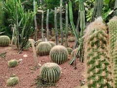 -呀路古热带植物园