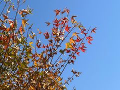 -北京西山国家森林公园