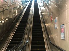 -大龙山(地铁站)